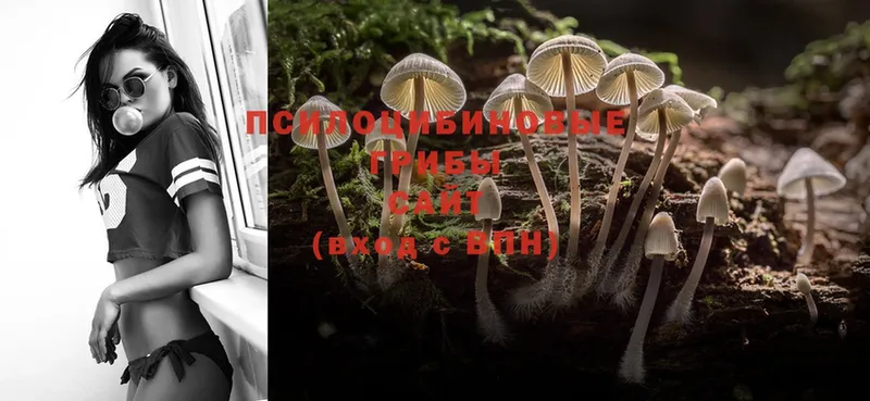 Псилоцибиновые грибы Magic Shrooms  Гороховец 